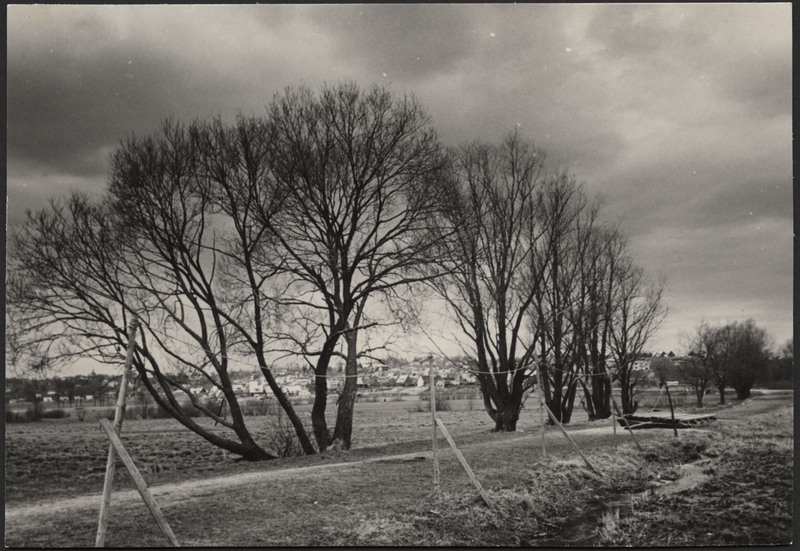 foto, Viljandi, järveäärne heinamaa, elamud mäeveerul, Tartu mnt poolt, u 1975
