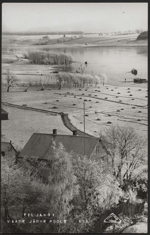 fotopostkaart, Viljandi, järveäärne heinamaa, järv, Viiratsi mägi, tuuleveski, talv, u 1915