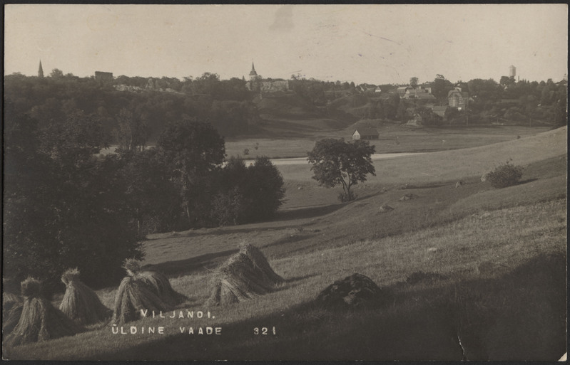 fotopostkaart, Viljandi, vastaskallas, viljahakid, järv, linnapoolne kallas, lossimäed, majad mäeveerul, u 1920, foto J. Riet