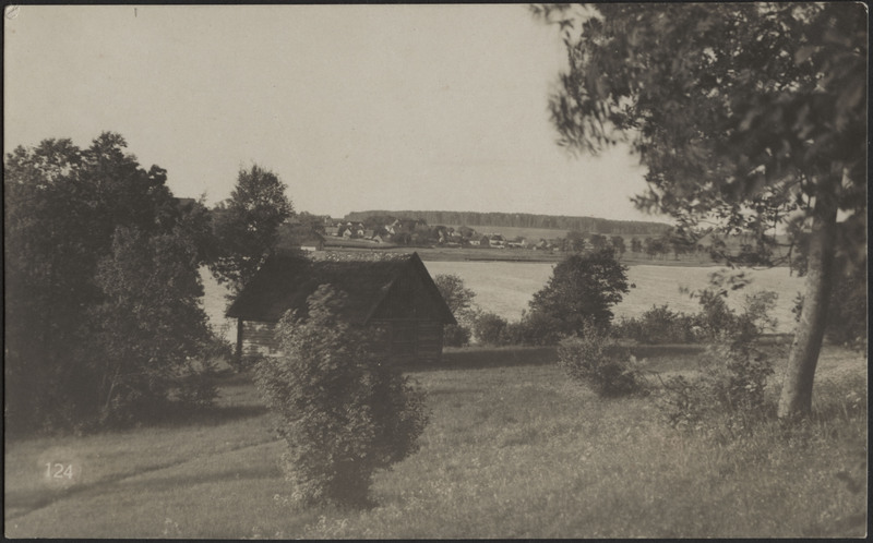 fotopostkaart, Viljandi, järve vastaskallas, heinamaa, põõsad, puud, küün, järv, mäeveerul hooned, u 1915, foto J. Riet
