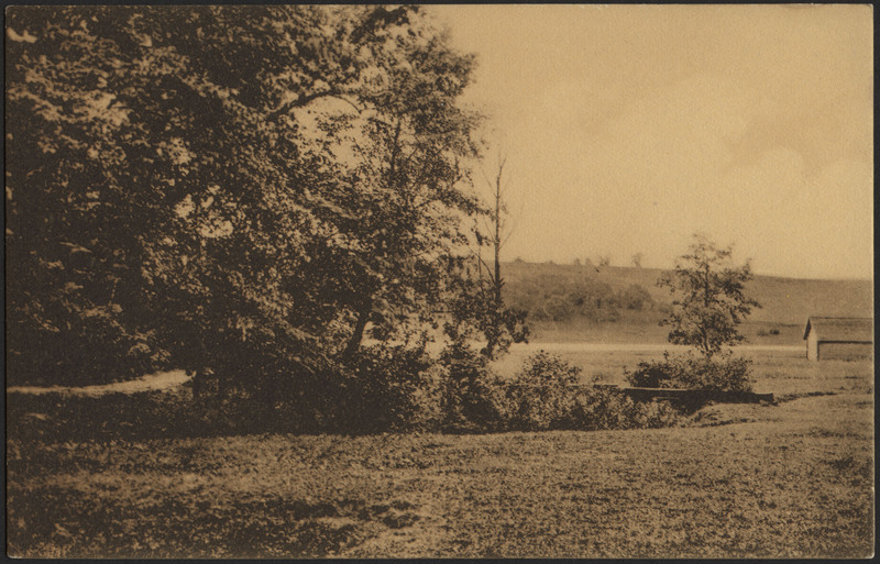 trükipostkaart, Viljandi, järveäärne heinamaa, küün, järv, vastaskallas, u 1915
