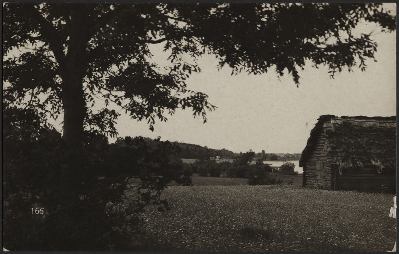 fotopostkaart, Viljandi, järve vastaskallas, heinamaa, põõsad, puud, küün, järv, u 1915, foto J. Riet