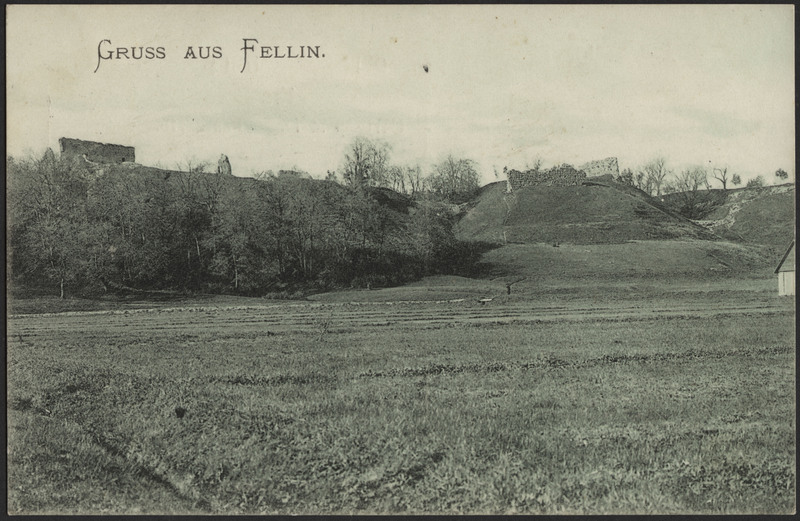 trükipostkaart, Viljandi, järveäärne heinamaa, lossimäed, u 1905