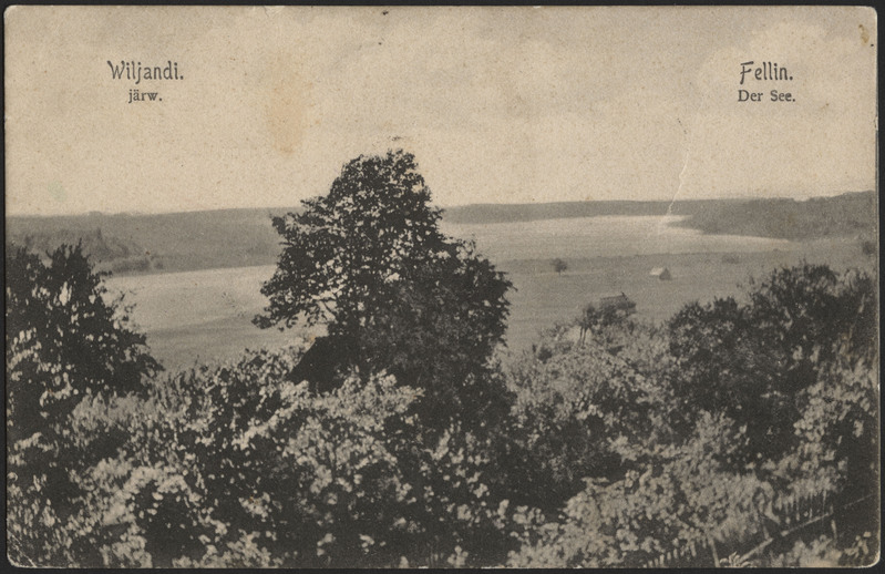 trükipostkaart, Viljandi, järv, mõlemad kaldad, Pikk tn poolt, u 1910