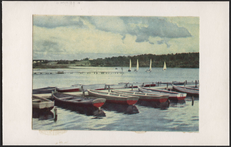 trükipostkaart, Viljandi, järv, paadisadam, purjekas 4 tk, vastaskallas, u 1965, foto A. Kiisla, värviline