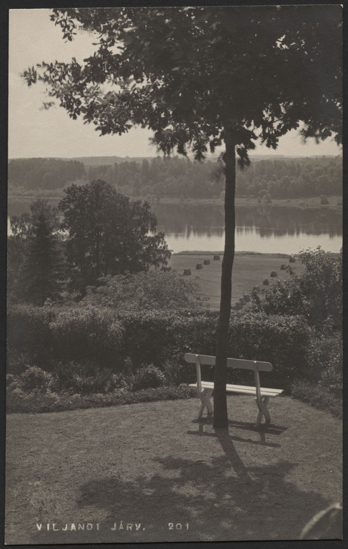 fotopostkaart, Viljandi, Lutsu tn 3, aianurk, pink, u 1915, foto J. Riet