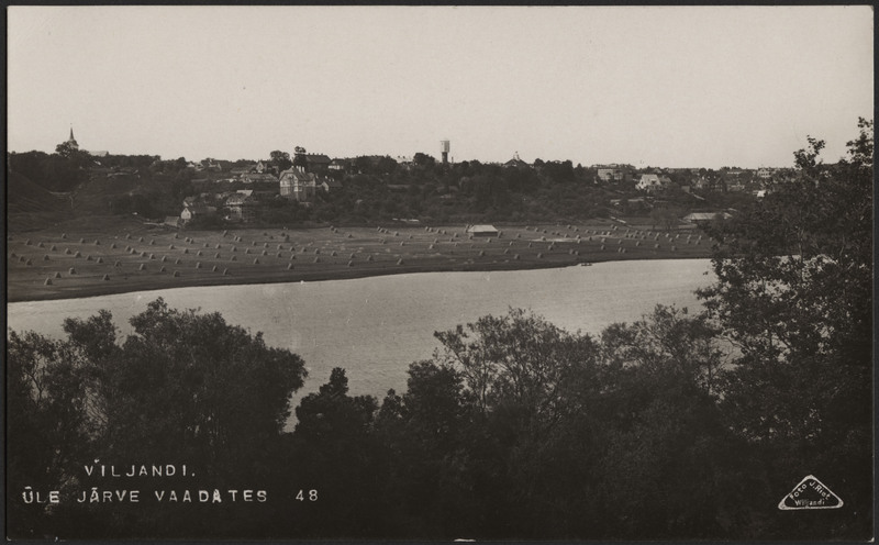 fotopostkaart, Viljandi, vastaskallas, järv, heinamaa, rõugud, linna majad mäeveerul, u 1912, foto J. Riet