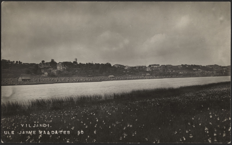 fotopostkaart, Viljandi, vastaskallas, järv, heinamaa, linna majad mäeveerul, u 1912, foto J. Riet