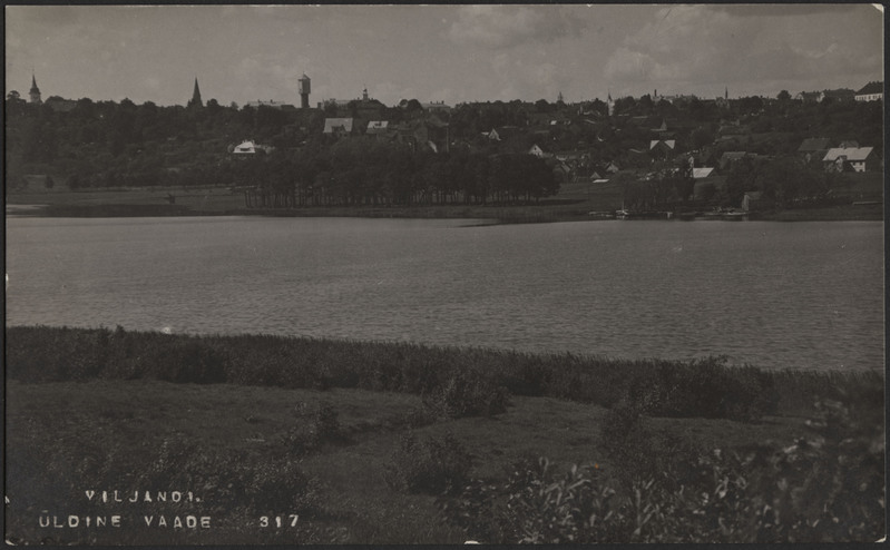 fotopostkaart, Viljandi, vastaskallas, järv, Mädalepik, linnamajad mäeveerul, u 1920, foto J. Riet