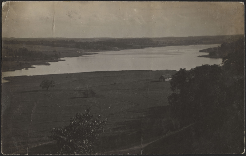 fotopostkaart, Viljandi, järveäärne heinamaa, järv, vastaskallas, u 1910