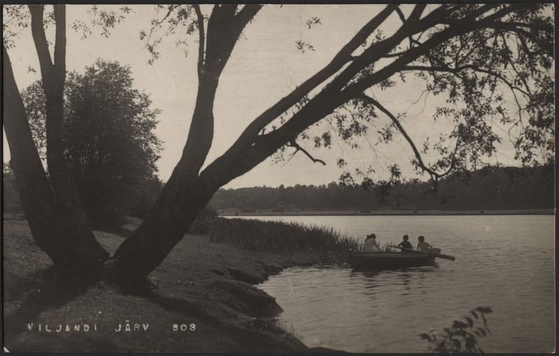 fotopostkaart, Viljandi, järve vastaskallas, 3-haruline puu, paat, heinamaa, puud ja põõsad mäeveerul, u 1925, foto J. Riet