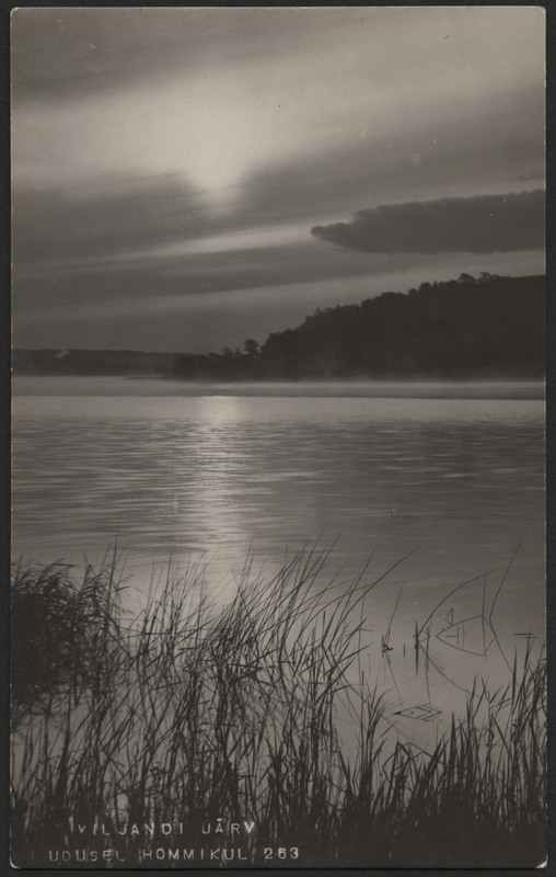 fotopostkaart, Viljandi, roostik, järv, vastaskallas, u 1920, foto J. Riet