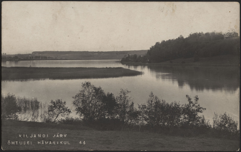 fotopostkaart, Viljandi, järv Kitsaskaela juures, vastaskallas, Tartu mnt äärne ala, u 1915, foto J. Riet
