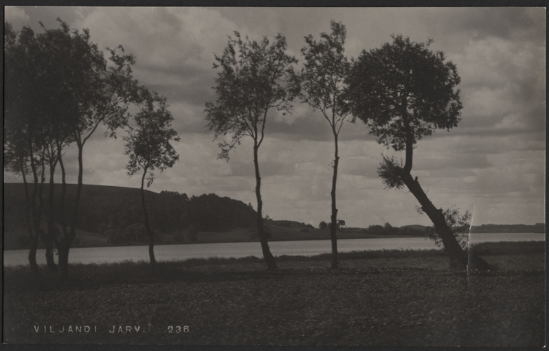 fotopostkaart, Viljandi, järv, kalda-alad Orika pool, u 1920, foto J. Riet