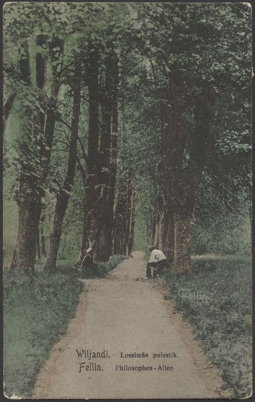 trükipostkaart, Viljandi, Filosoofia puiestee, koloreeritud, u 1900