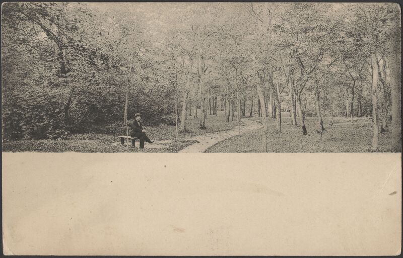 trükipostkaart, Viljandi, lossipark, Kitsasmägi (Suuroru ja lauluväljaku vahel), puud, teerada, mees, u 1905