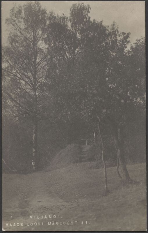fotopostkaart, Viljandi, lossipark, teerada, puud, u 1915, foto J. Riet