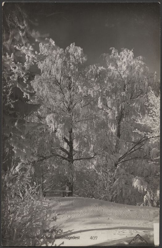 fotopostkaart, Viljandi, I Kirsimägi ?, talv, u 1925, foto J. Riet
