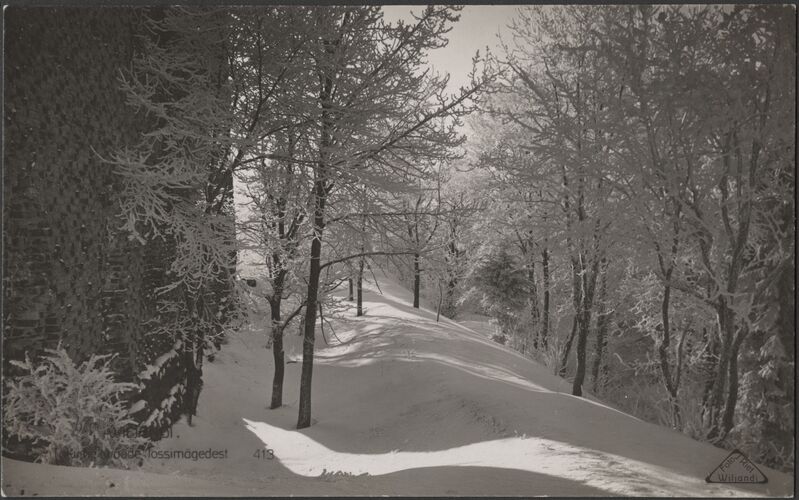 fotopostkaart, Viljandi, Kaevumägi, Suurorg, nõlv, u 1925, foto J. Riet