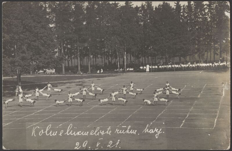 fotopostkaart, Viljandi, koolipark, võimlemispidu, etteaste, 3-liikmelised poiste rühmad, 29.05.1921