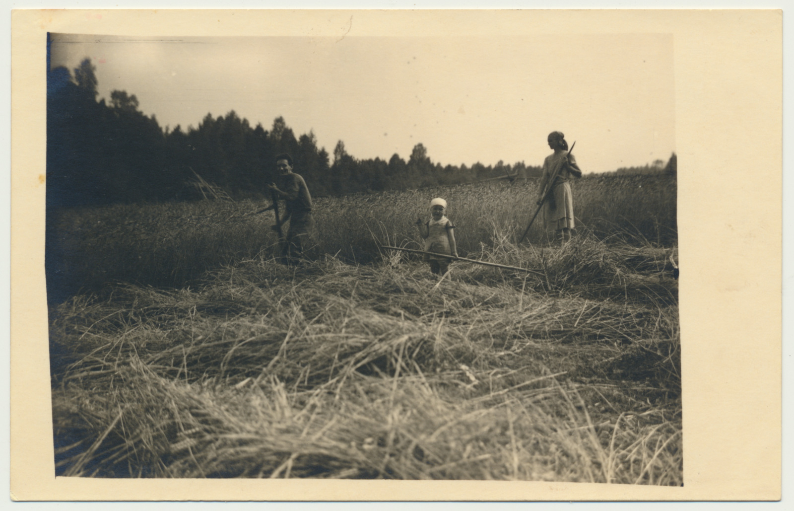 foto, Viljandi khk Uue-Võidu v Helgi Raidal vanematega viljapõllul u 1937