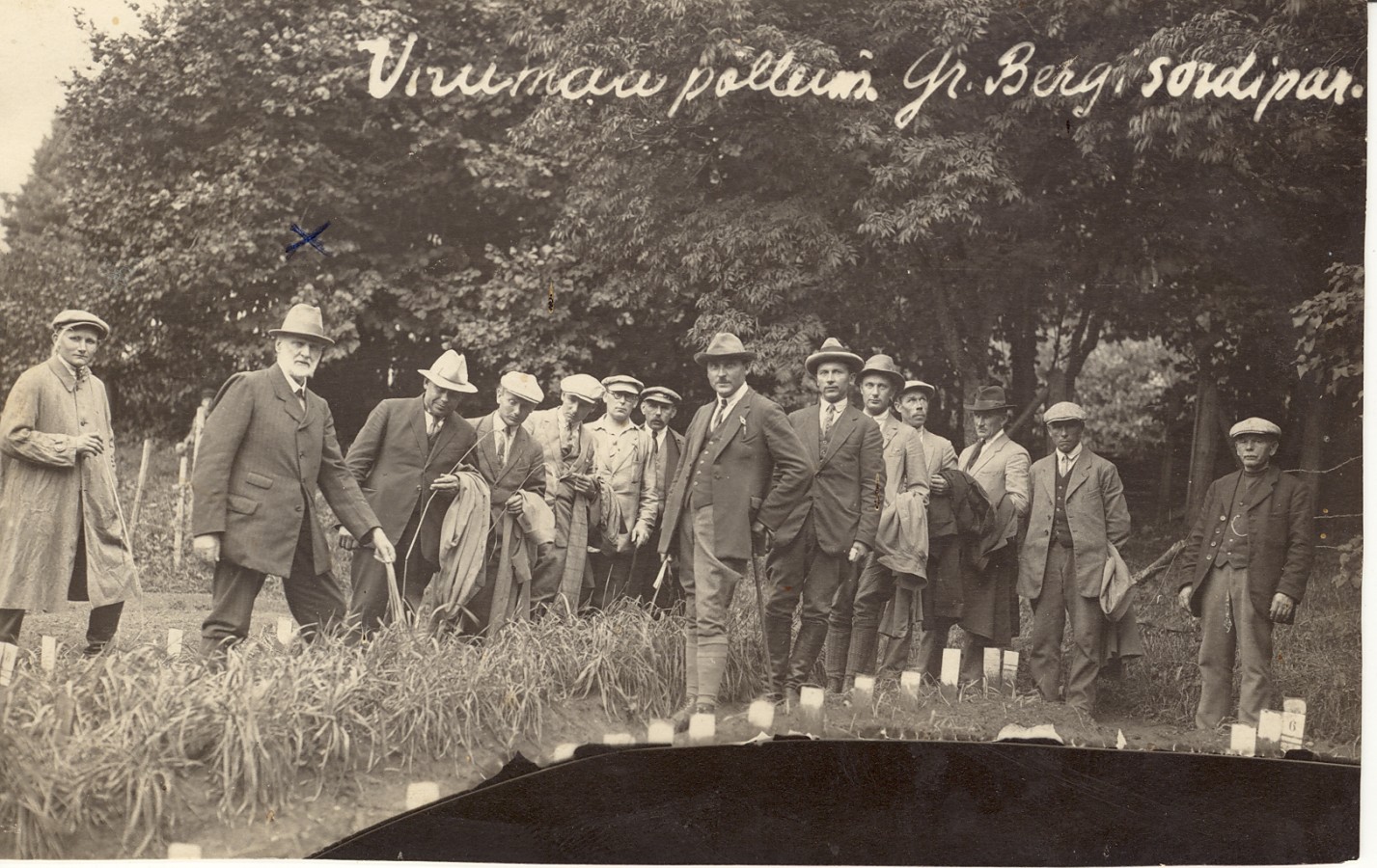 Virumaa põllumehed Sangastes Friedrich Bergi katsepõllul