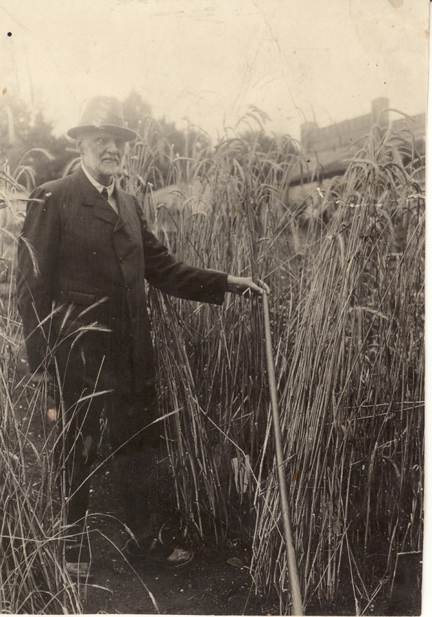 Friedrich Berg rukki valikaias