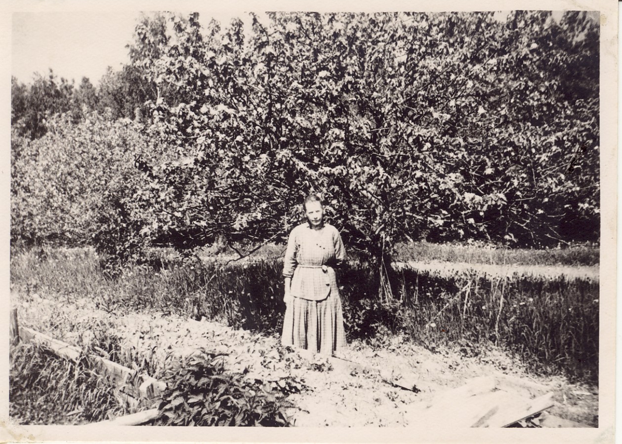 Constance Kalm koduaias rukki katsetaimede juures