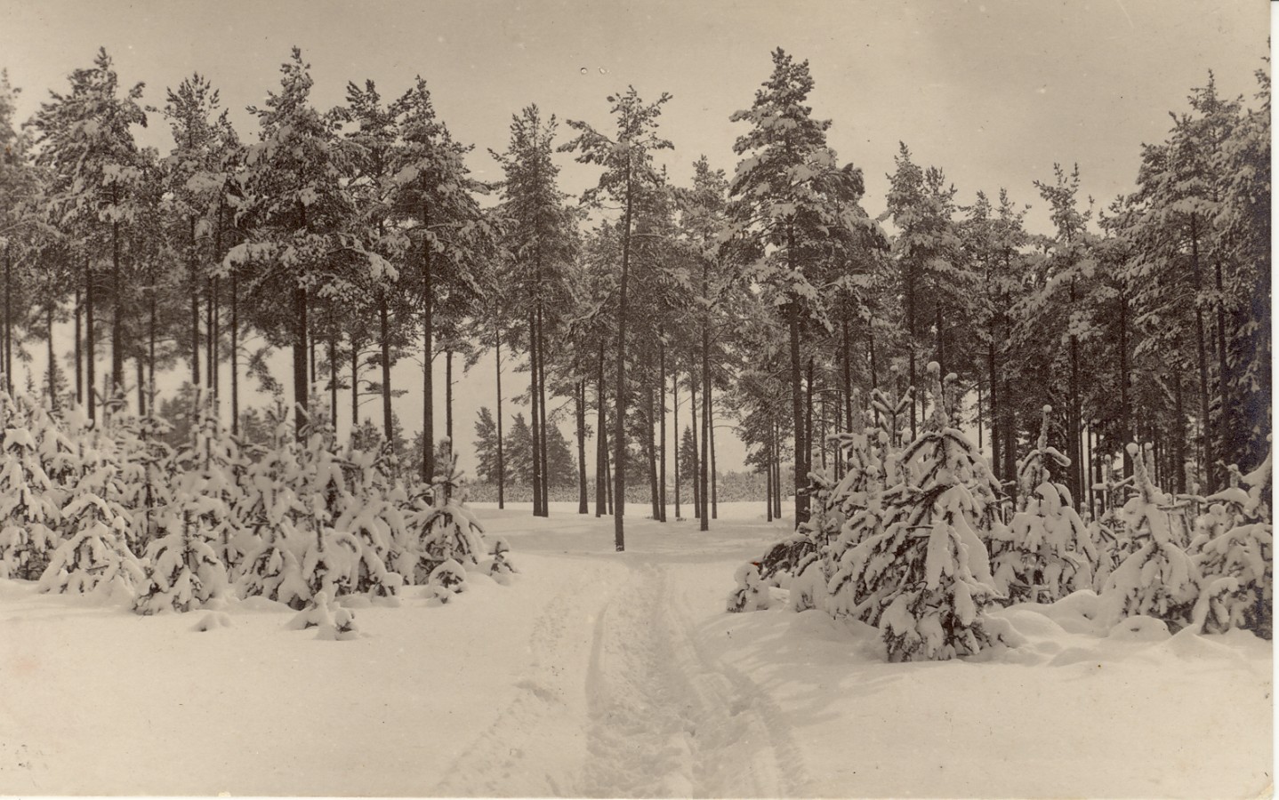 Valka. Männid "Sõja silla" juures