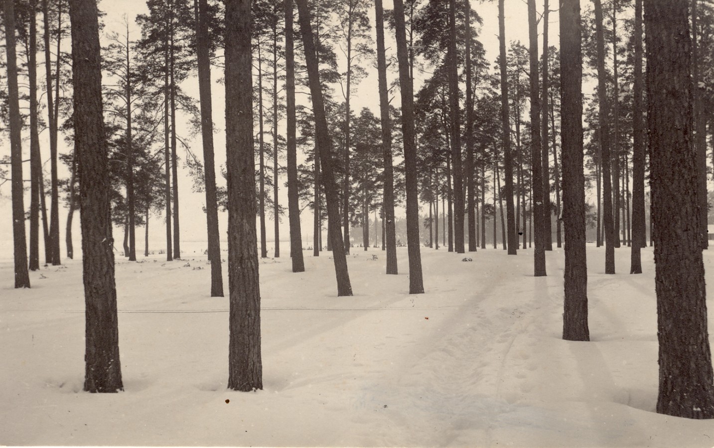 Valka. Männid barakkide juures