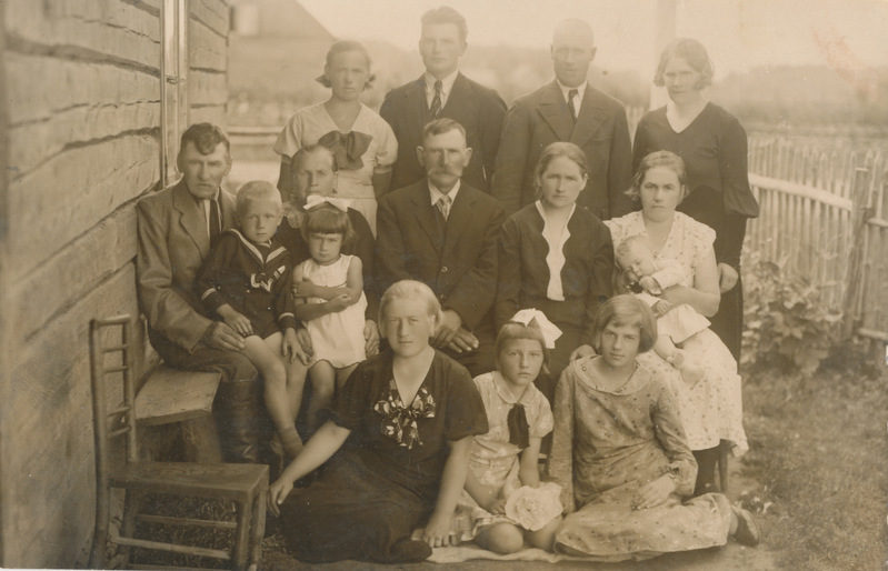 Rogenbaumide suguvõsa