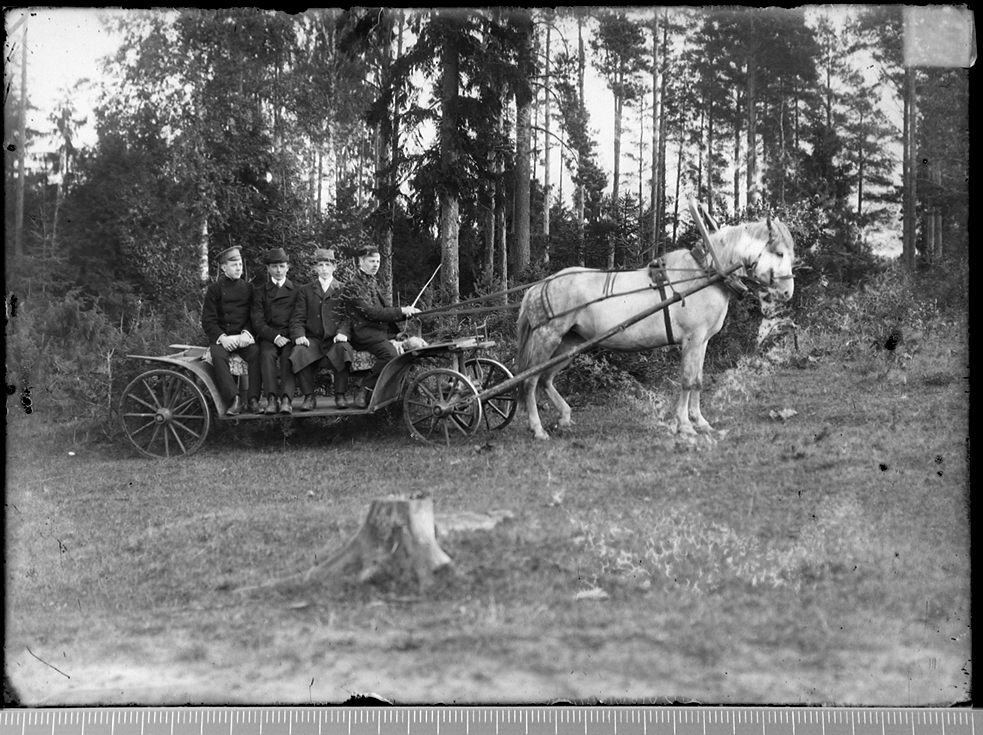 Kaagjärve vallavalitsus valla metsa revideerimas