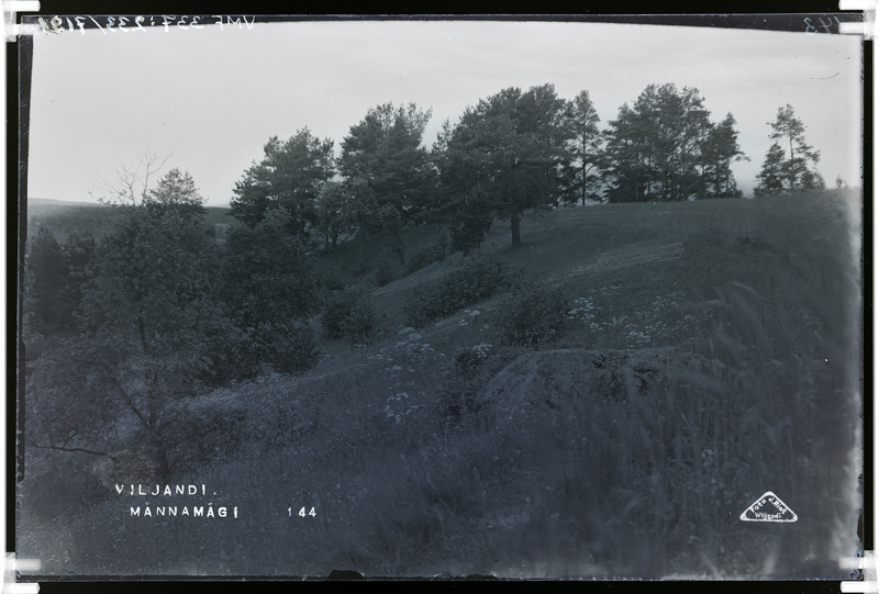 fotonegatiiv, Viljandi, Männimäe, Huntaugu mägi, u 1920, foto J. Riet