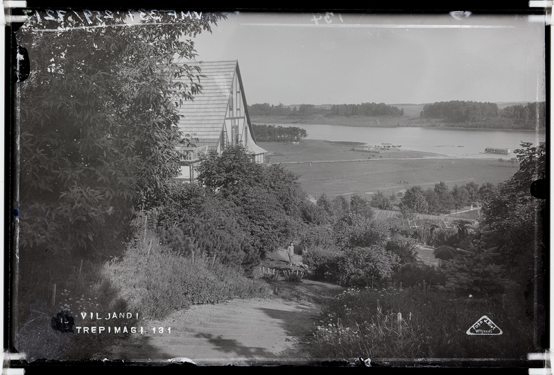 fotonegatiiv, Viljandi järv ümbrusega, vaade Trepimäelt, u 1920, foto J. Riet