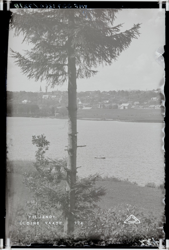 fotonegatiiv, Viljandi järv, kalda-alad, taga linnamajad, u 1920, foto J. Riet