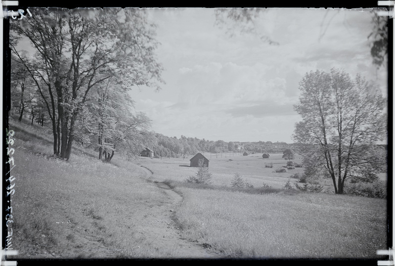 fotonegatiiv, Viljandi järveäärne heinamaa, küünid, u 1925, foto J. Riet