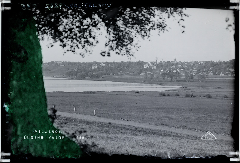 fotonegatiiv, Viljandi järv (Viiratsi poolne osa), linn, u 1920, foto J. Riet