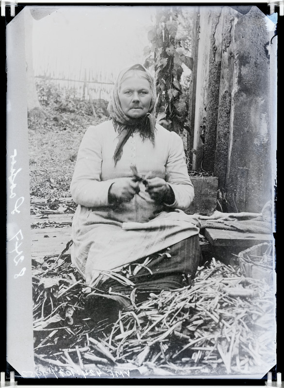 fotonegatiiv, Johanson, naine, lõikab puulaaste, 1908 foto J.Riet