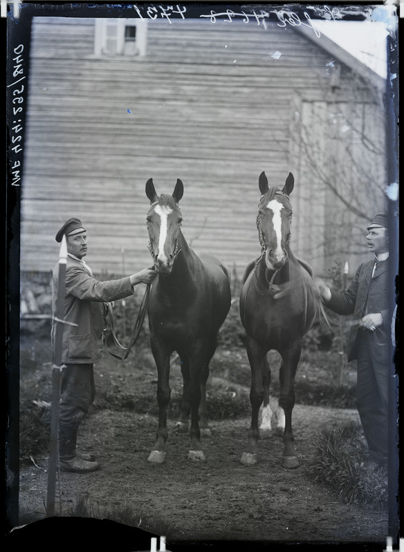 fotonegatiiv, Seisler, 2 hobust, 2 meest, 1905 foto J. Riet