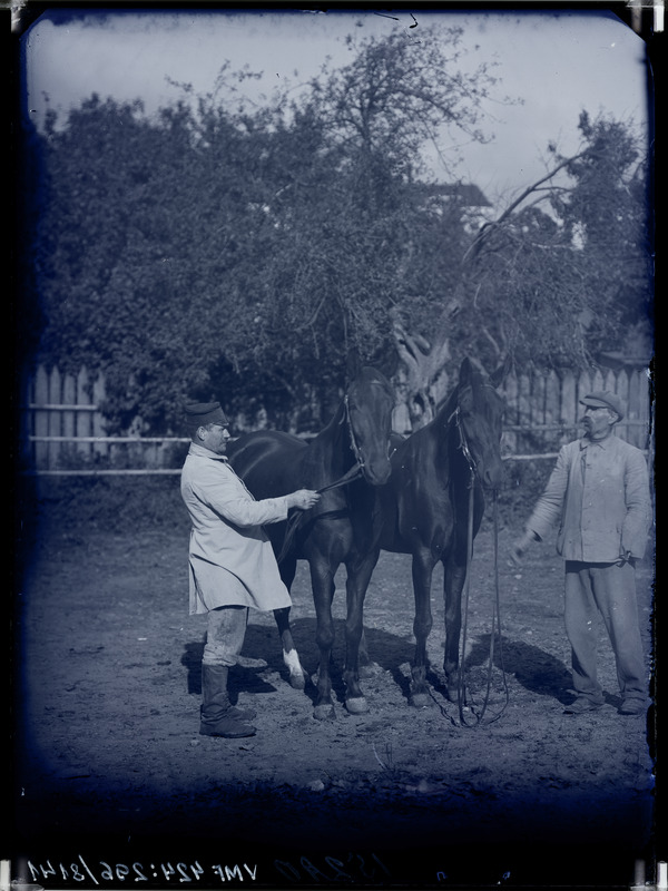 fotonegatiiv, Seisler, 2 hobust, 2 meest, 1913 foto J. Riet