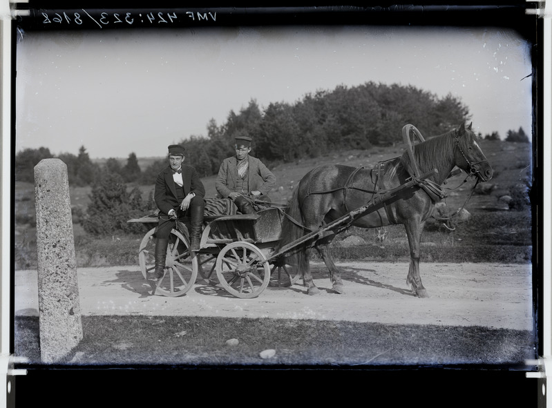 fotonegatiiv, hobune, vanker, 2 meest sh Rosenberg, 1899 foto J. Riet