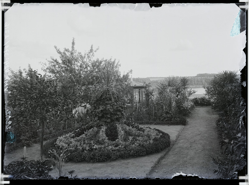 fotonegatiiv, Viljandi Posti tn 42 aednik H. Wichwelin'i aed, taga järv 1903 foto J. Riet