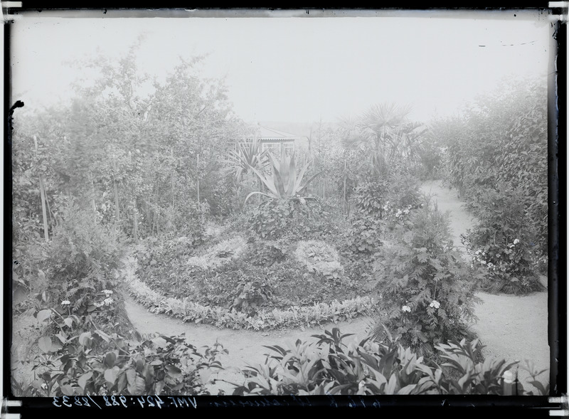 fotonegatiiv, Viljandi, Posti tn 42? Hans Wichwelin'i aed 1906 foto J.Riet