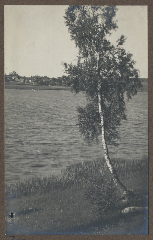 foto albumis, Viljandi, järv, vastaskallas, osa Kivistikust, u 1910, foto J. Riet