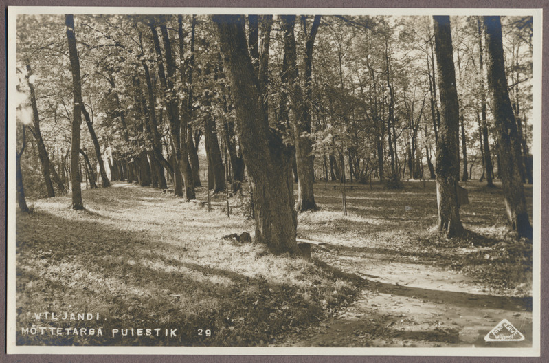 foto albumis, Viljandi, Mõttetarga pst, u 1910, foto J. Riet