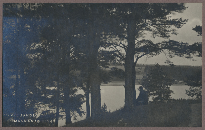 foto albumis, Viljandi, Männimägi, järv, Sammuli, u 1915, foto J. Riet
