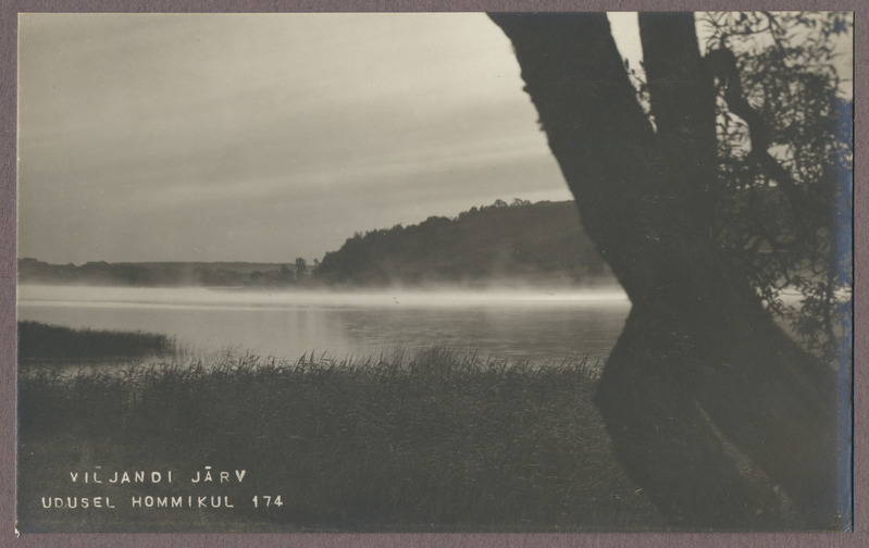foto albumis, Viljandi, järv udusel hommikul, u 1920, foto J. Riet