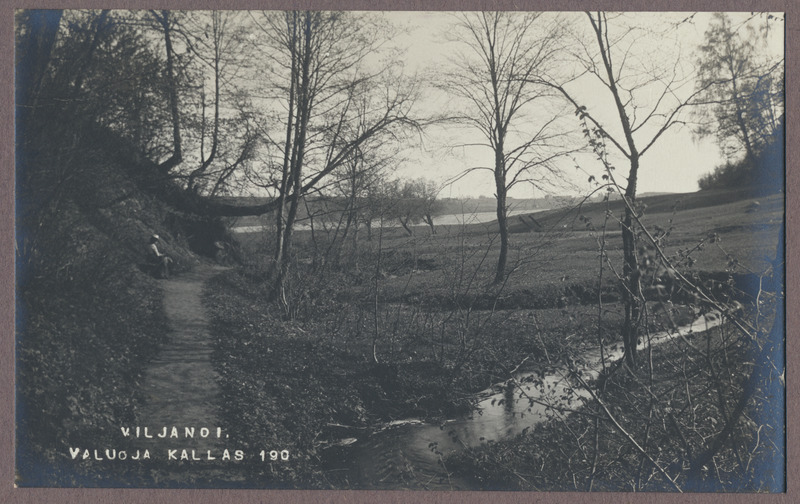 foto albumis, Viljandi, Valuoja org ja oja, taga järv, u 1915, foto J. Riet