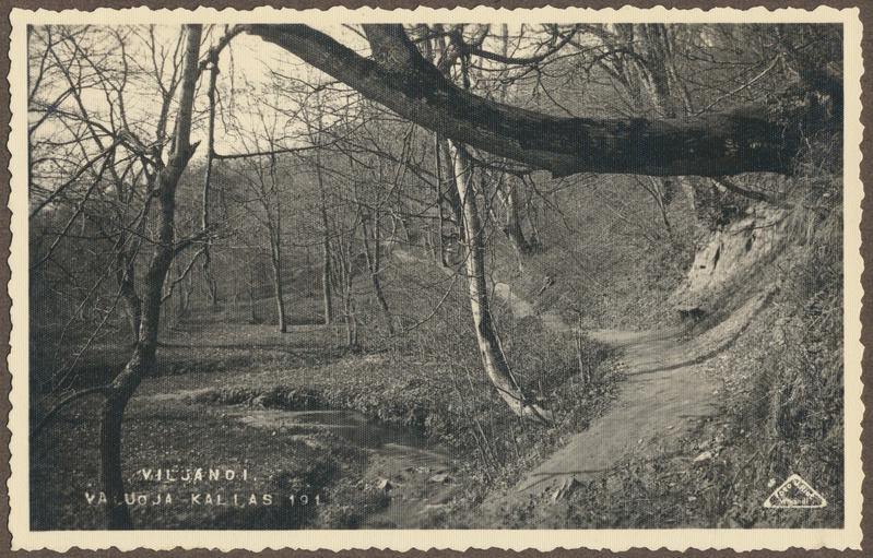 foto albumis, Viljandi, Valuoja org ja oja, u 1915, foto J. Riet