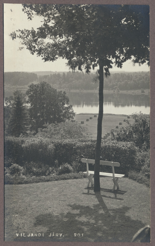 foto albumis, Viljandi, Lutsu tn 3 aed, järv, u 1910, foto J. Riet